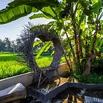 Asri Sari Villa Ubud