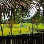 Kakau Villa 2 - Ubud