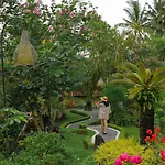 Villa Capung Mas Ubud