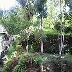 Griya Petapan