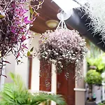 Wahwik\'S House