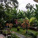Pineapple House