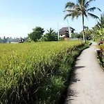 Jagi Villa