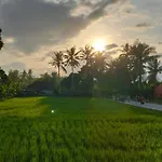The Morgan Villa