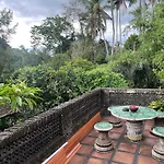 Rumah Kelinci