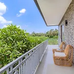 Forest In Bali