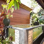 Forest In Bali