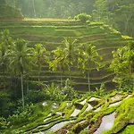 Villa Jj And Spa Ubud