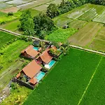Rumah Tengah Sawah