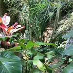Jungle Hideaway Villas - Newly Renovated Formerly Griya Bunga 2 - Unit 4