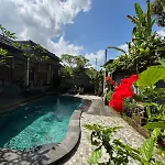 Alam Grigis Ubud
