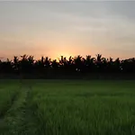 Kubu Soca Villa
