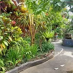 Family Guest House