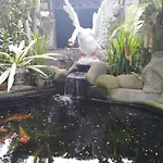 Dani Home Stay