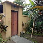 Dedik House