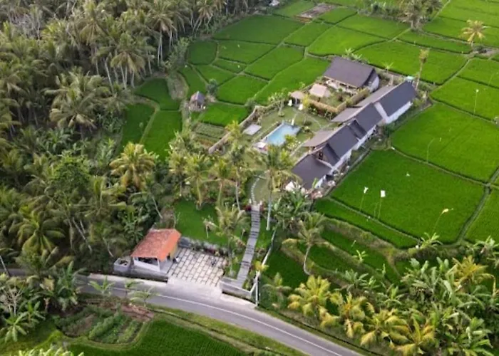 Green Coconut Cottage