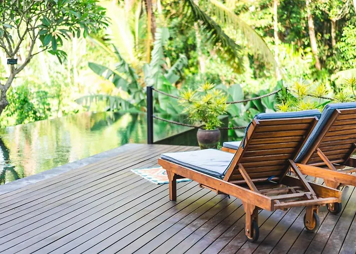 3 Bedrooms Tropical Modernism Rice Field And Jungle