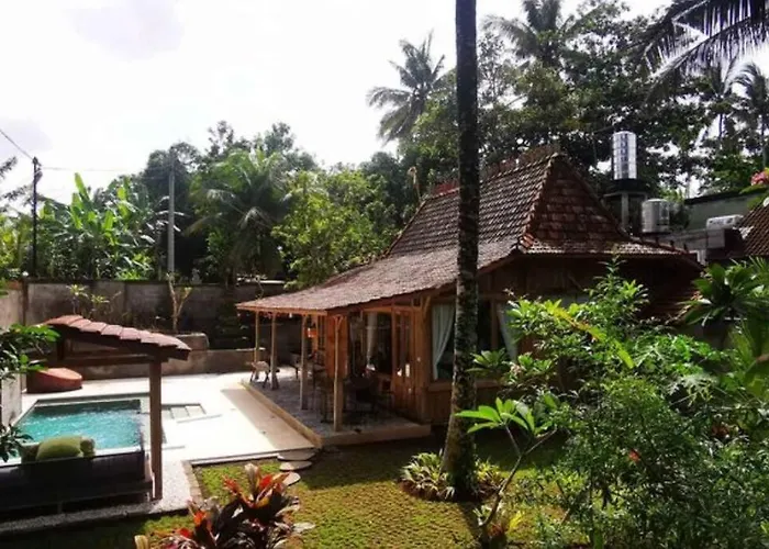 The Birdhouse Villa