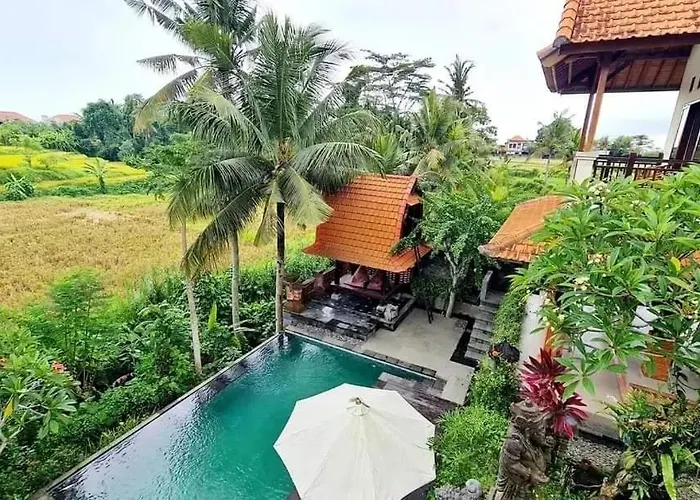 Pupel House