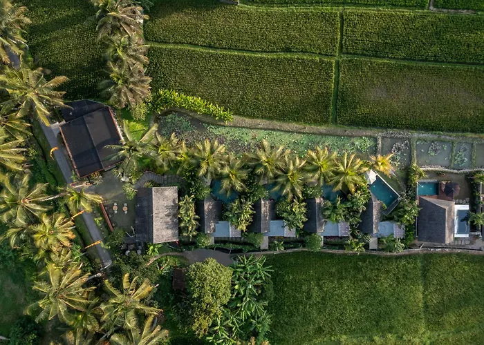 Lasamana Villas Ubud By Pramana Villas