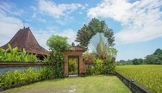 Rumah Sungai Villa
