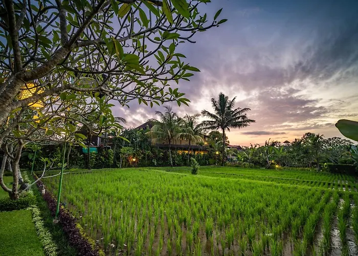 Bliss Ubud Luxury Villa