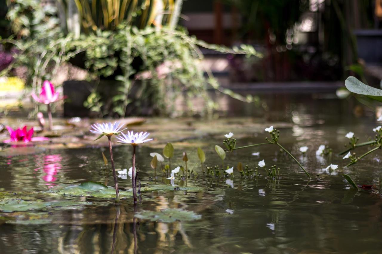 Hidden Padma Retreat Hotel Ubud (Bali)