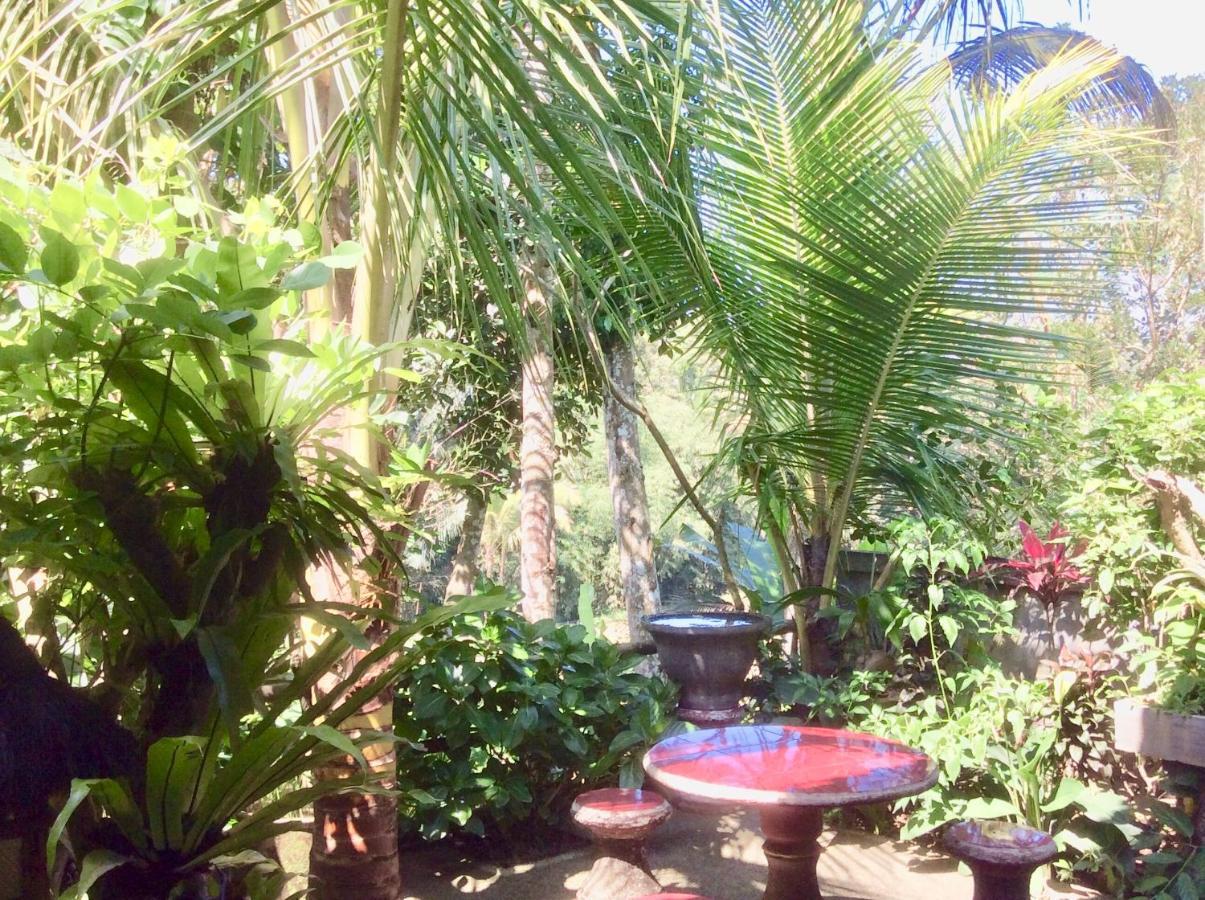 Bed & Breakfast Rumah Irak Et Kadek Bali