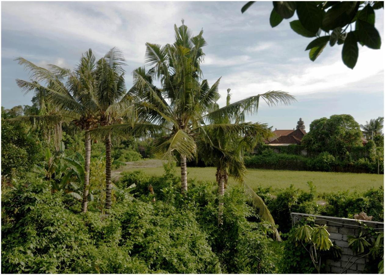 The Lod Villa *