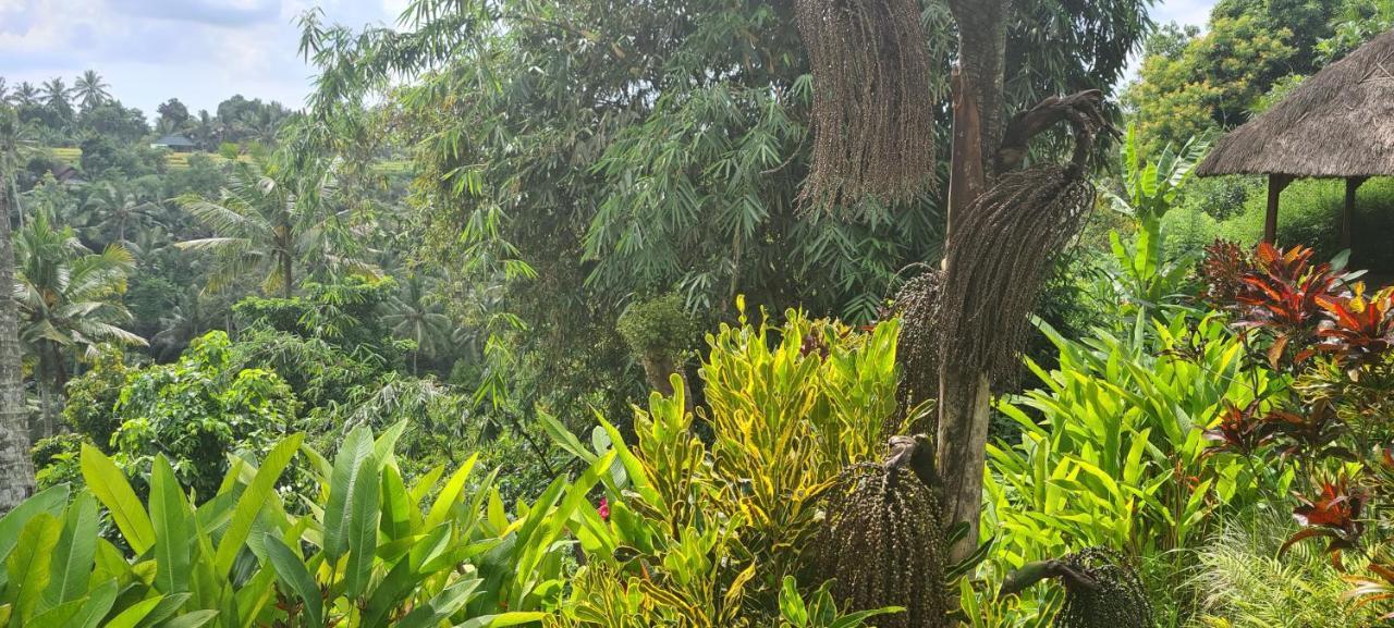 Bed & Breakfast Rumah Sungai Ubud (Bali)