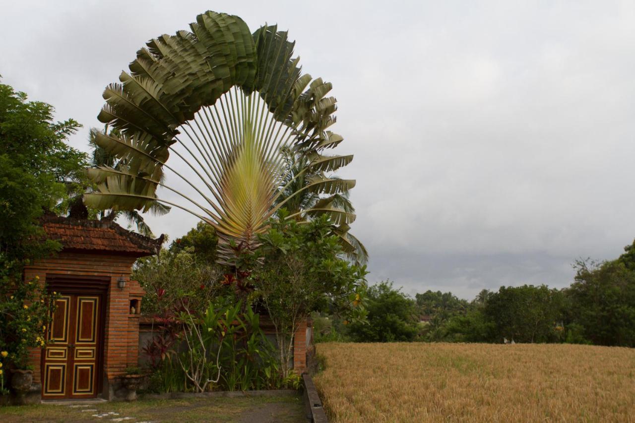 Rumah Sungai Ubud (Bali)