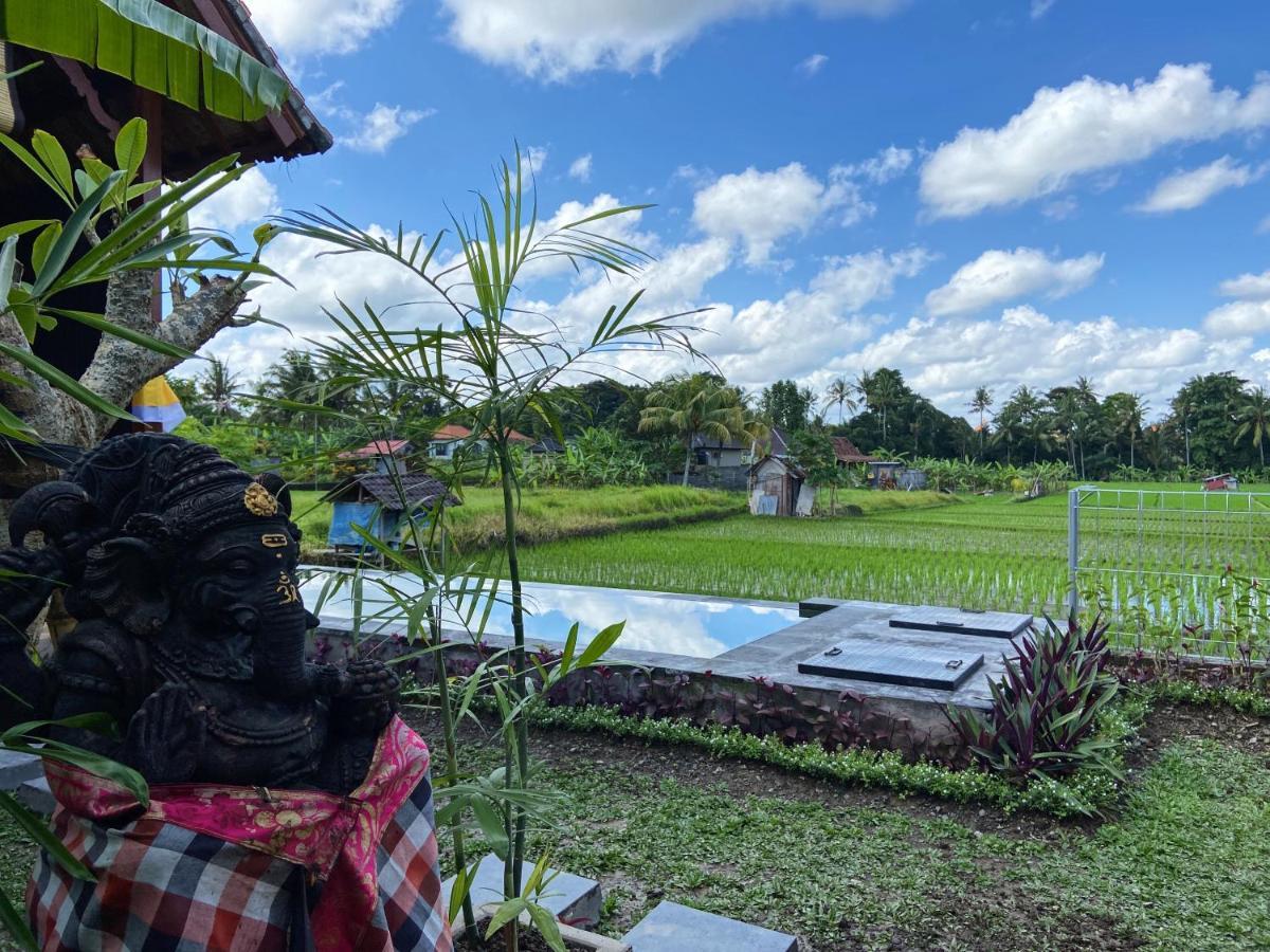 Pondok Seken Wooden