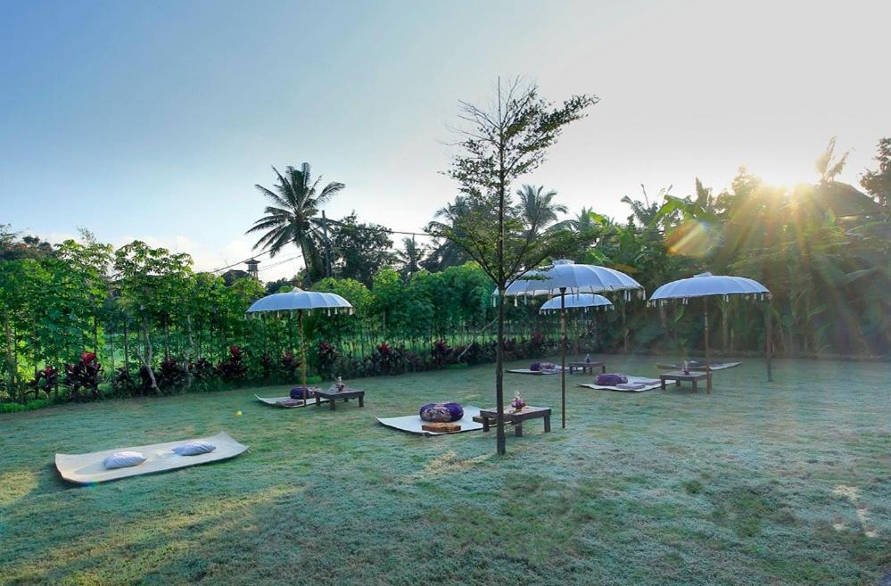 Hotel Dag Dig Dug Eco Ubud (Bali)