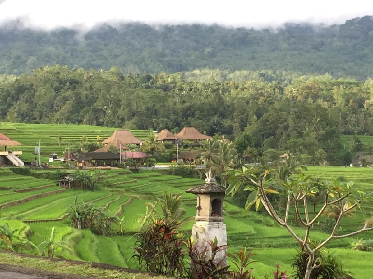 The Hidden Bali 3*