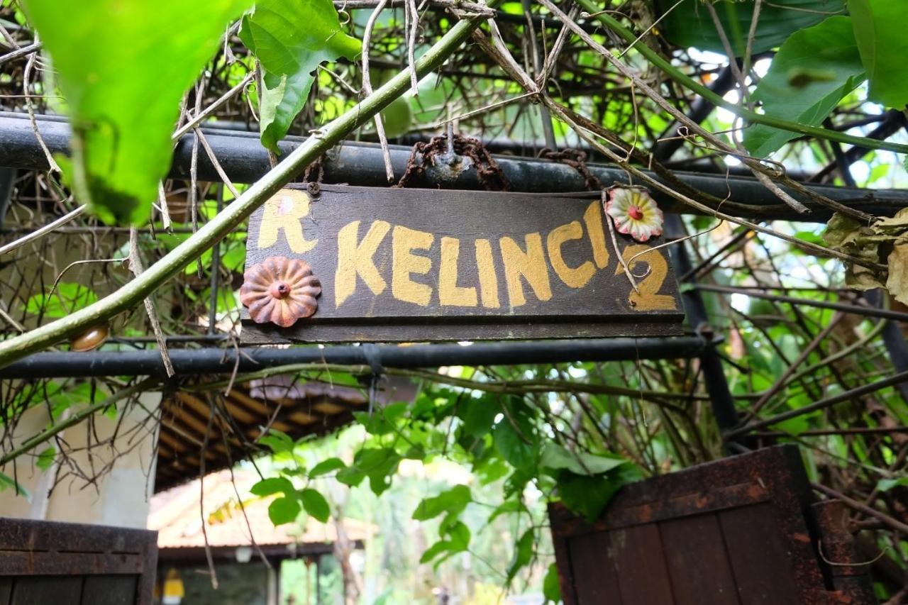 Rumah Kelinci Villa *