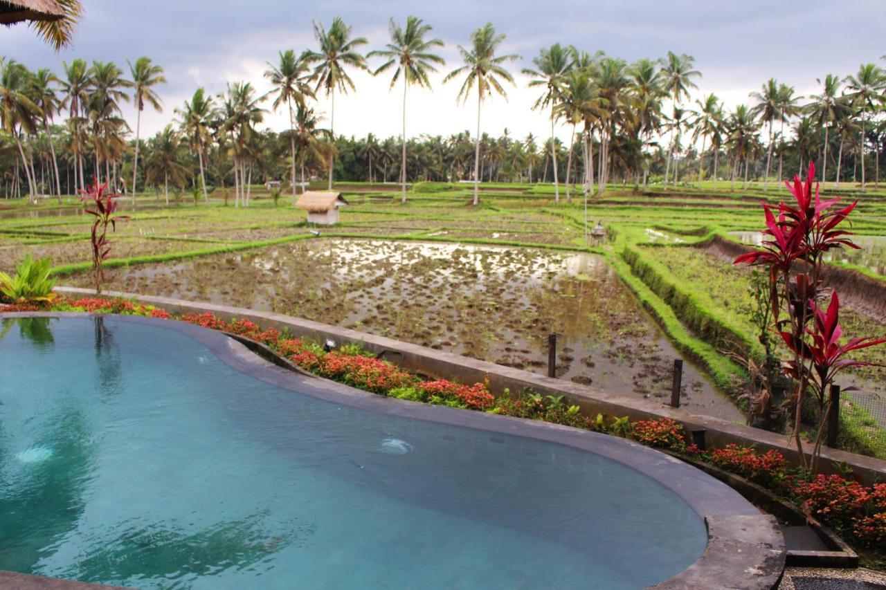 Aparthotel Vihaan *