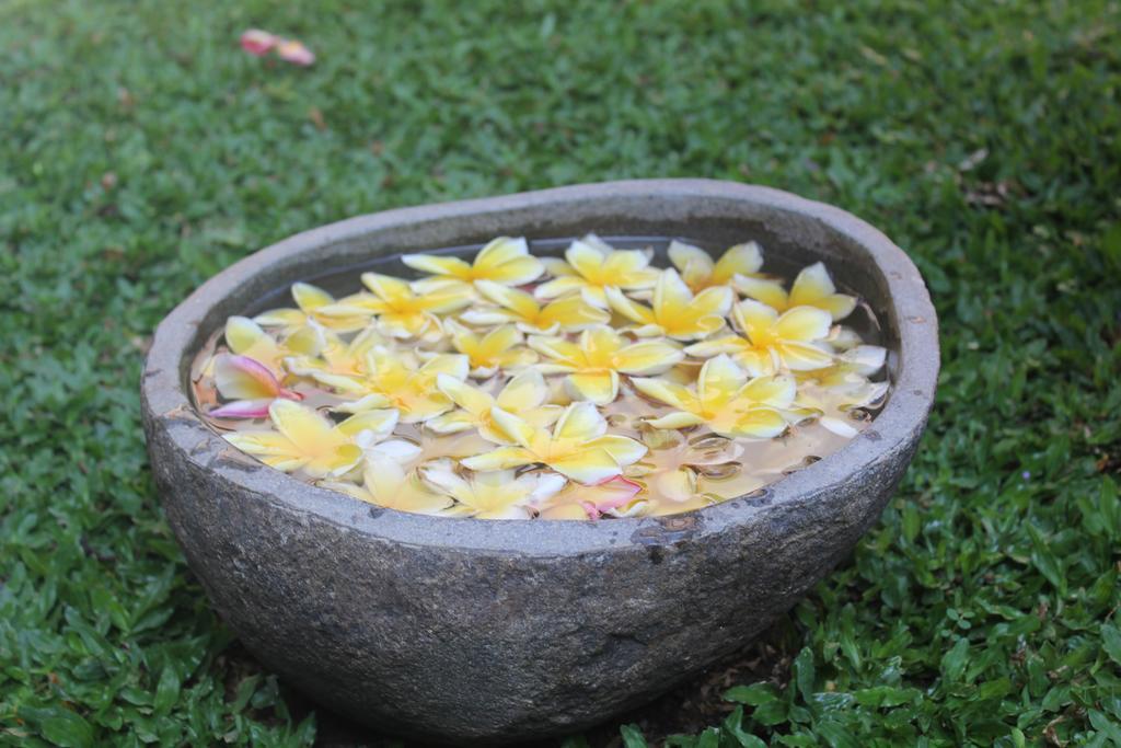 Odah Ayu Ubud