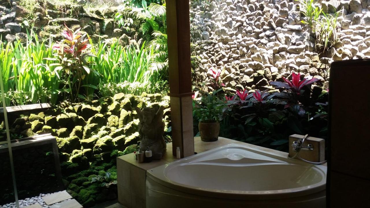 Nefatari Exclusive Resort 4*