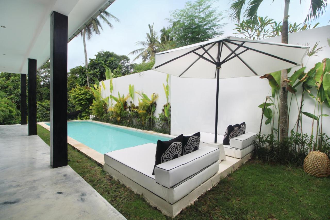 Jungle's Door By Is Simple *