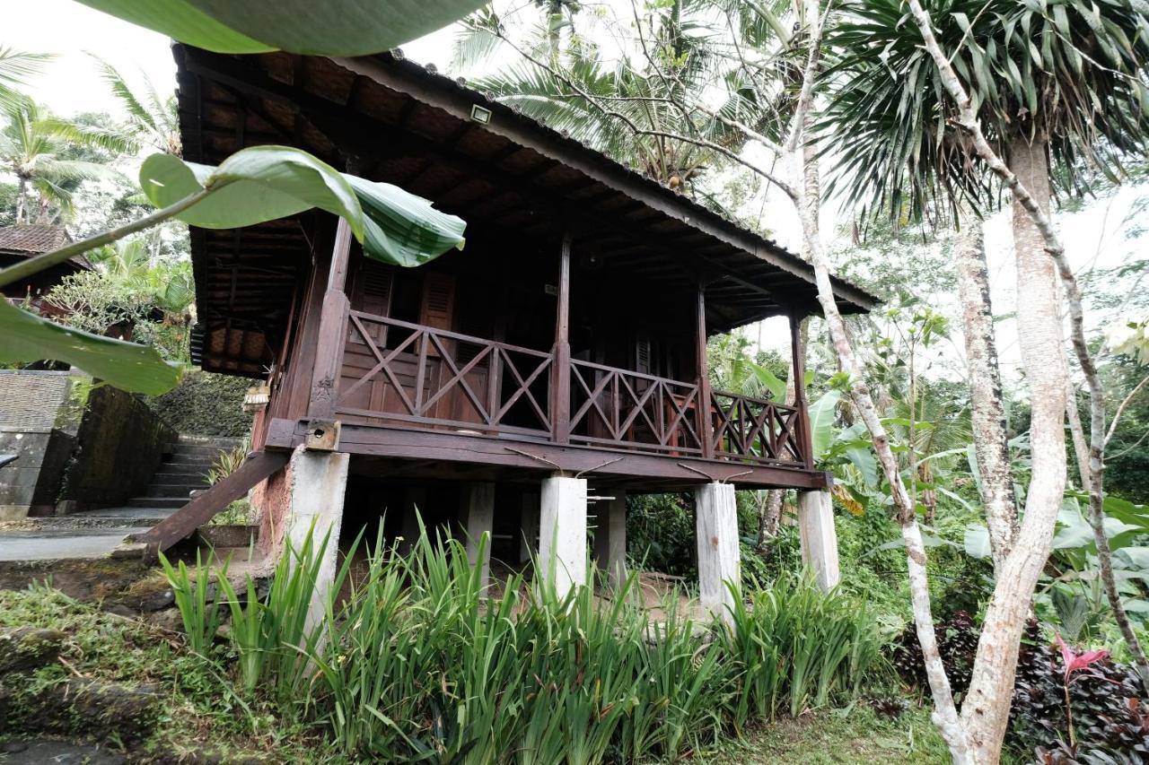 Guest house Jungle Holy Water 3*