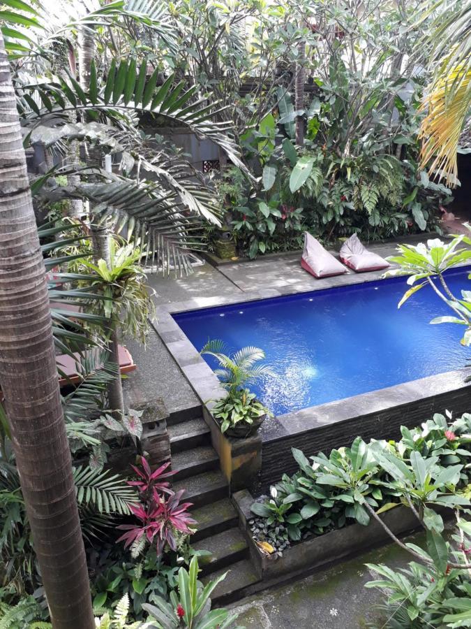 Guest house Krisna House 3*