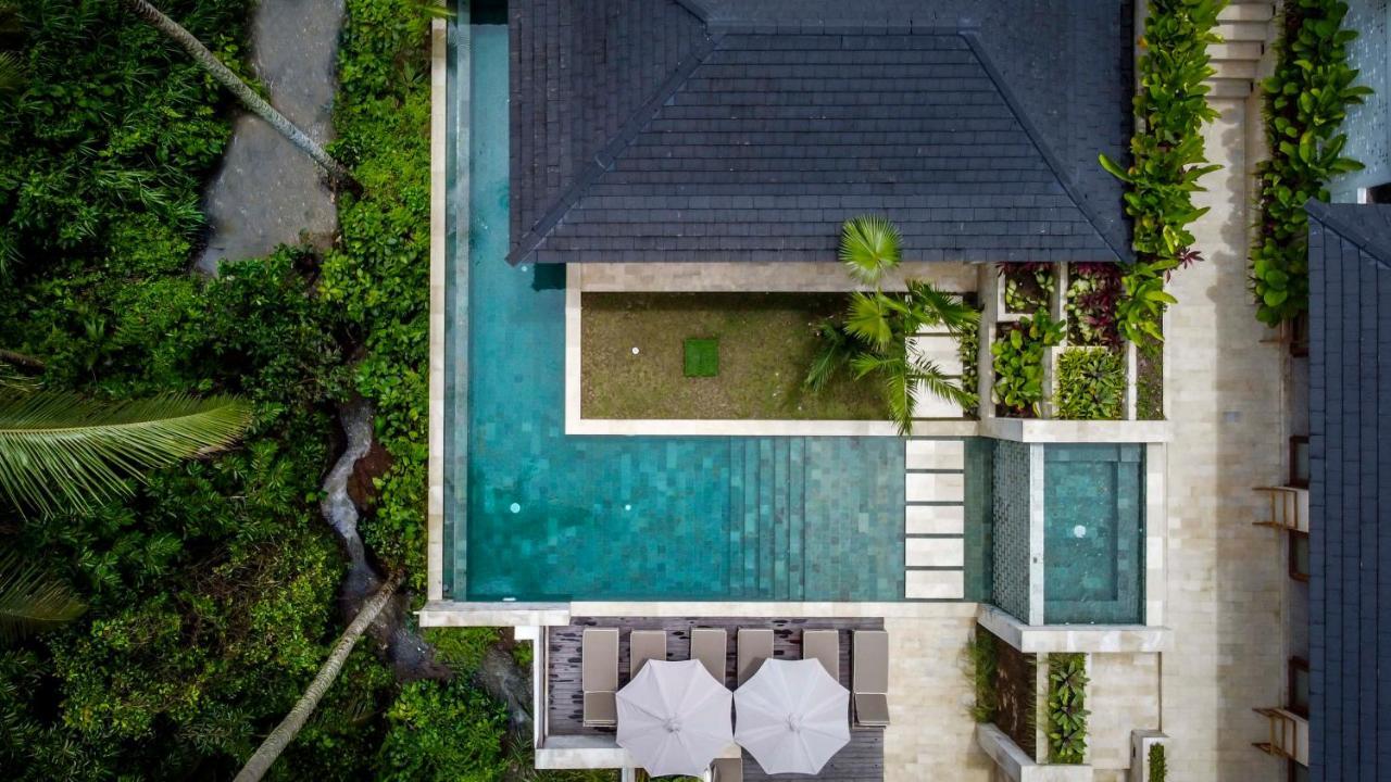 La Jungle By Balisuperhost