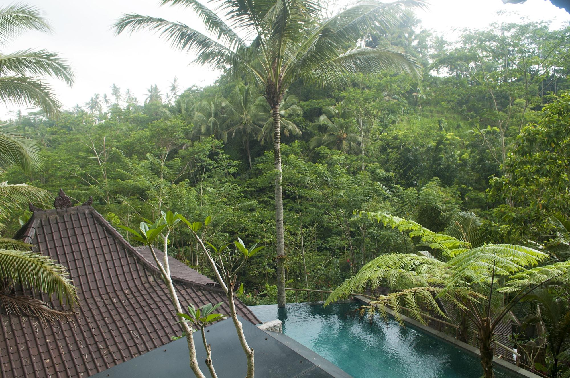 Dd Ubud Jungle Villa 3*