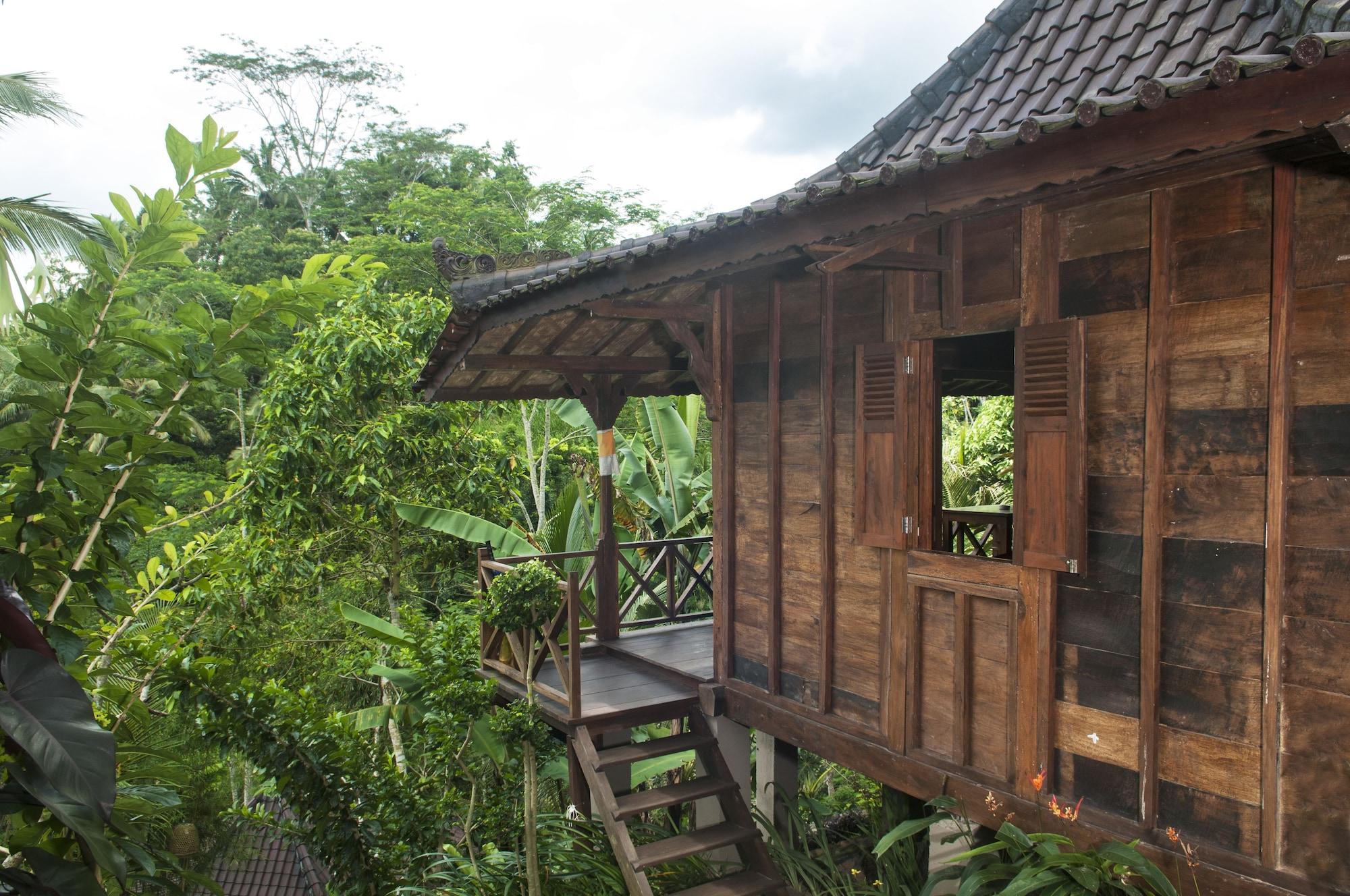 Dd Ubud Jungle Villa Ubud