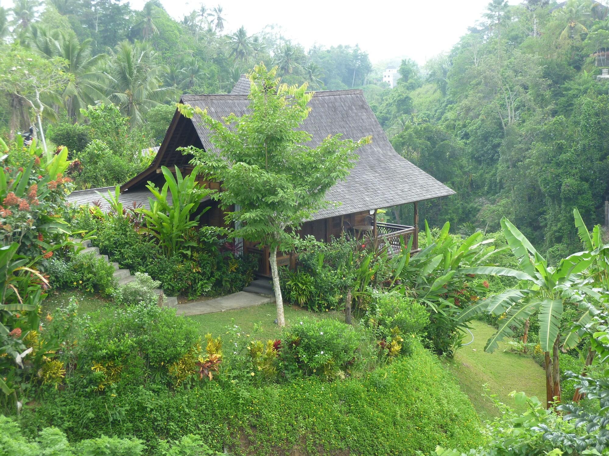 Amori 4* Ubud