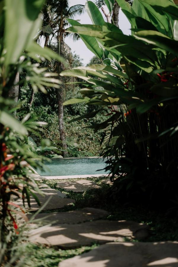 Dharuna * Ubud (Bali)