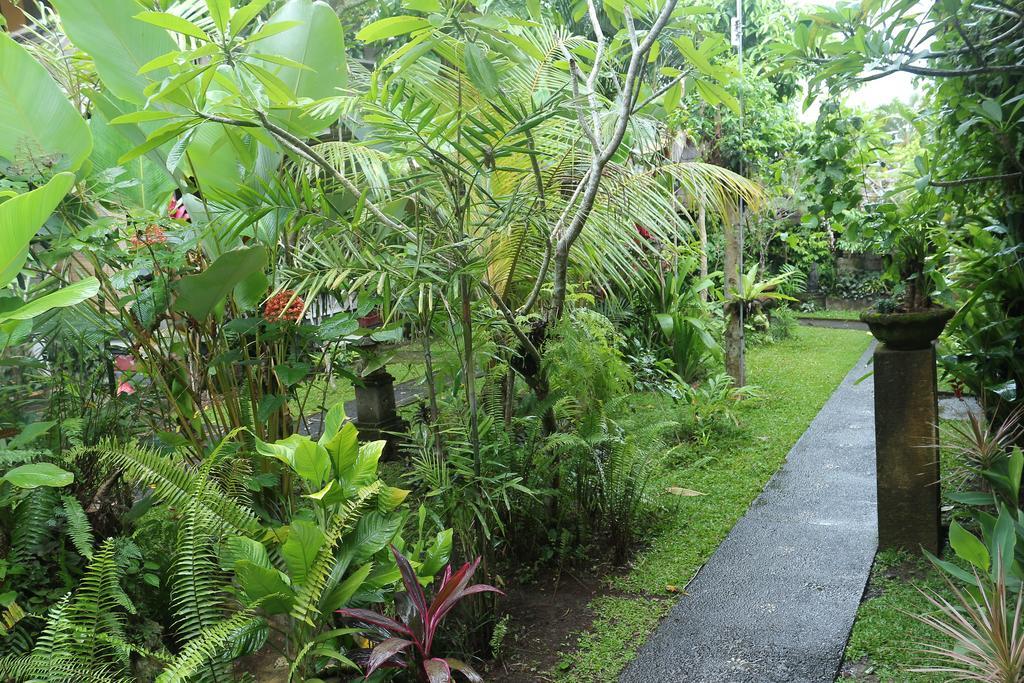 Guest house Karang Mesari