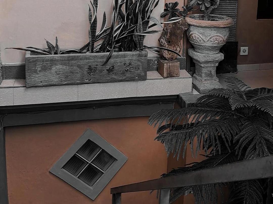 Adi House *