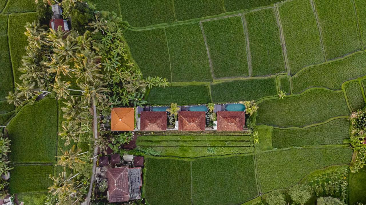 Villa Airsania Antique Ubud (Bali)