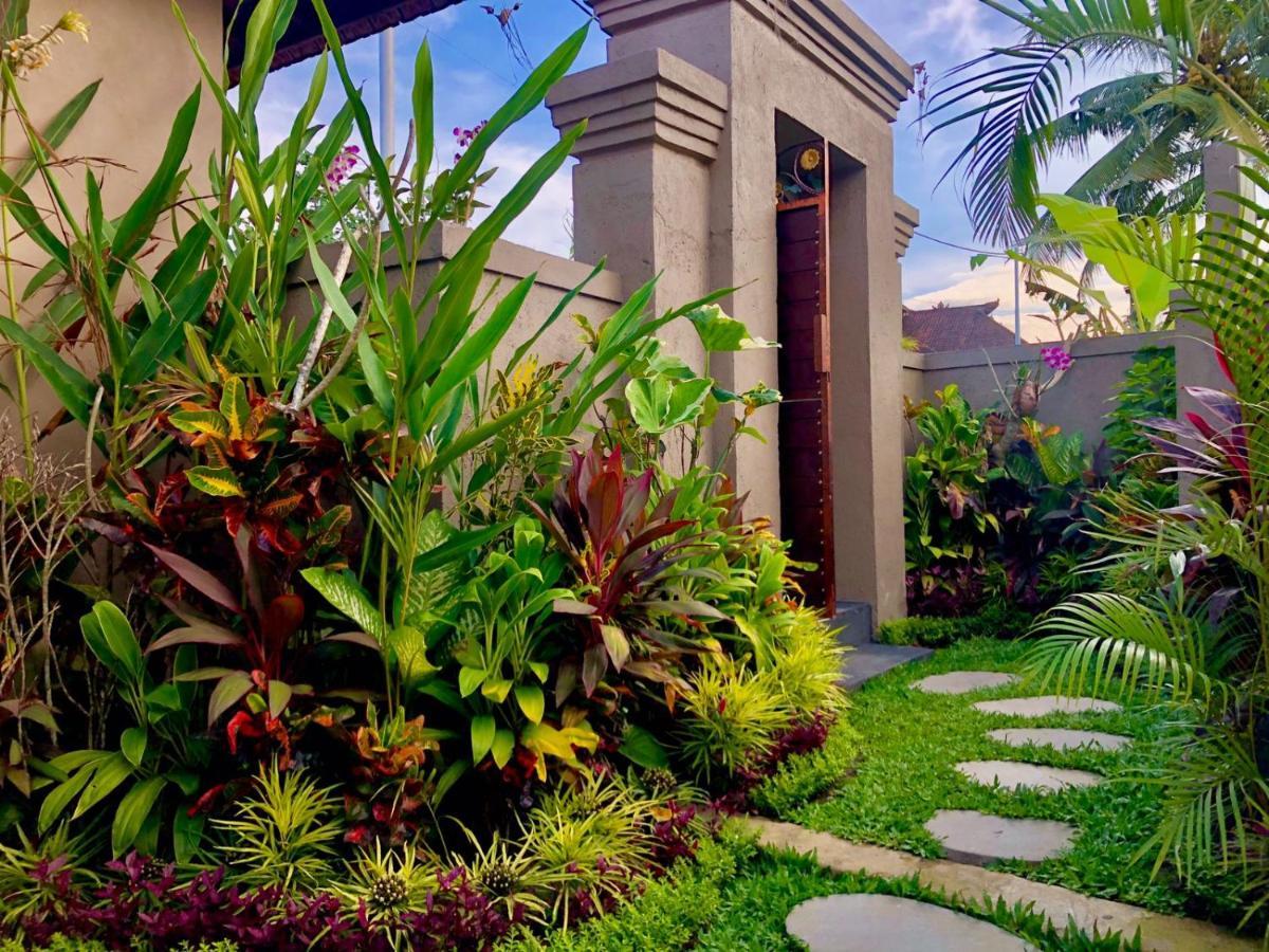 Umagama Antique Wisma tamu